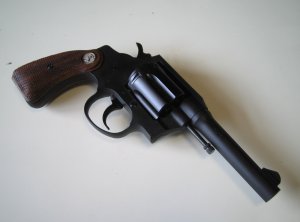 Colt Police Positive